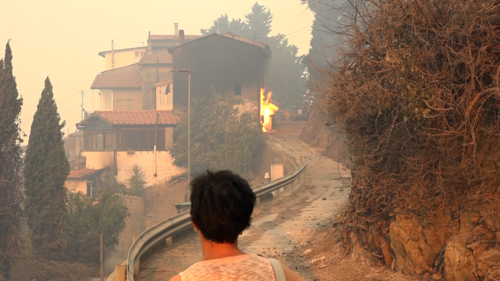 Dalla Regione Mila Euro Per L Emergenza Incendi Noitv